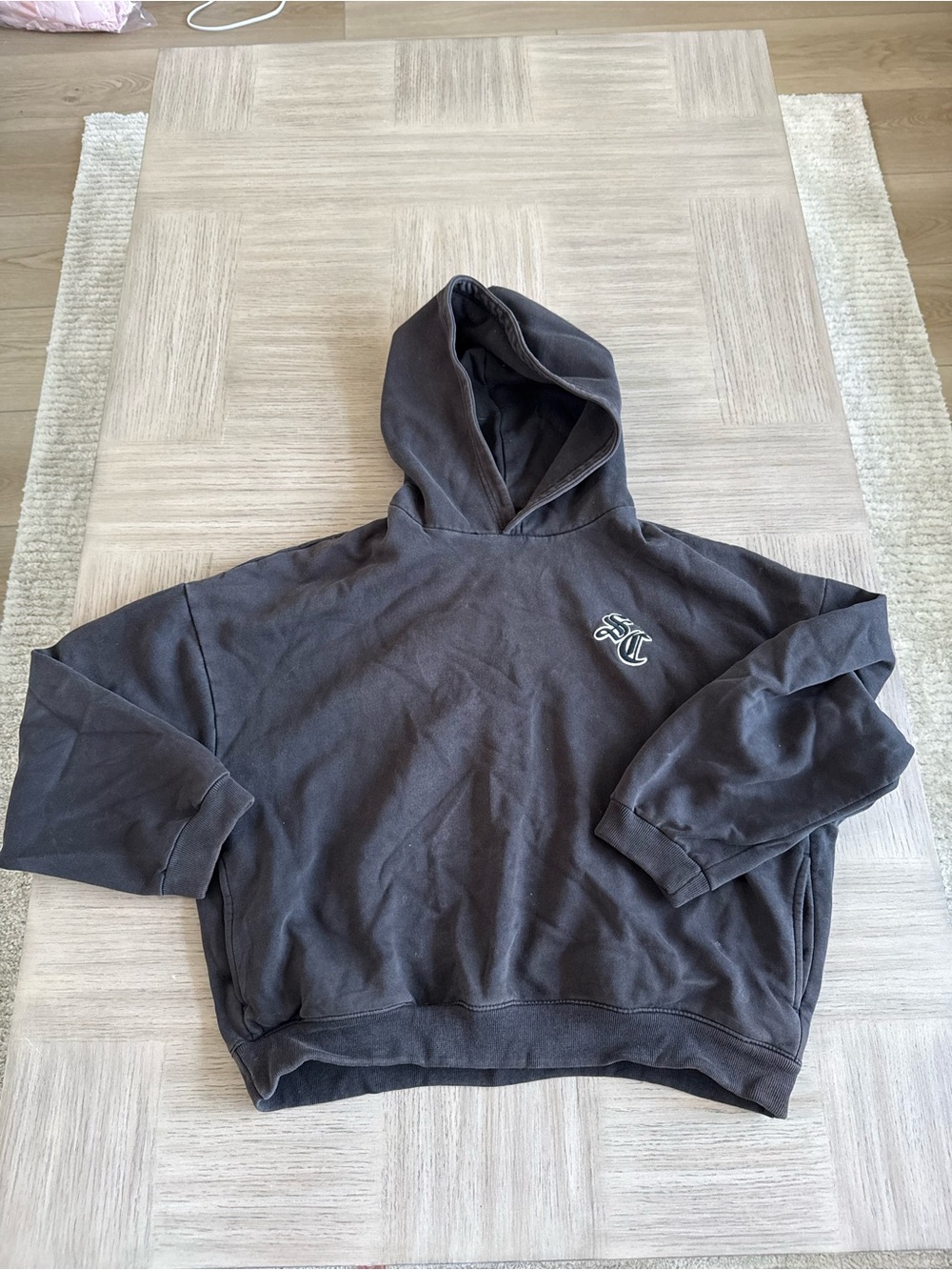 Urban Outfitters Standard Cloth Ludlow Logo Hoodie Sweatshirt SZ M EUC